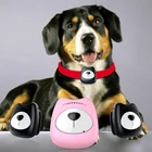 Wholesale Custom New GPS Dog Collar GPS Tracker for Dogs Cats