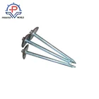 Zinc Plated Umbrella Head Roofing Nail for Africa Market