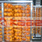 Hot sale industrial fruit and vegetable drying machine