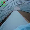 Uv Treated Agricultural Film Frost Cloth For Plants High Quality Plants And Vegetable Cover Bio Plant Tunnel