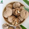 Chinese no cleaning natural 185# walnut for sale