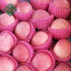 Hot Selling China Organic Fruits Fresh apples Wholesale