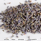 Wholesale Herbal Tea Dried Lavender with Good Smell
