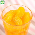 Wholesale best price healthy canned mandarin orange