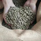 raw coffee bean origin green coffee bean roasted coffee factory price