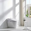 /product-detail/foshan-elegant-great-price-seat-bidet-smart-toilet-cupc-in-white-62072091094.html