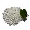 Factory Supply Garden Natural Tumbled Round Snow white pebble for Sale