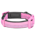 Cheap Personalized Custom Adjustable Durable Cute De Perro Spiked Dog Collar