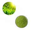 /product-detail/natural-caffeine-98-green-tea-extract-powder-with-moq-5kg-62082449033.html