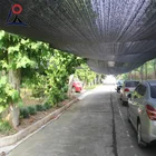 Factory Direct Supply Agriculture green use sun shade net