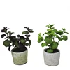 Exceptional artificial greenery mint concrete pot home table green bonsai small vase flower pots flower artificial plant in pot