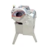 NEWEEK for fruit processing 400-1000kg/h melon mango coconut cube cutting machine