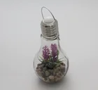 solar battery Micro landscape artificial succulents LED glass mason jar bottle light lamp