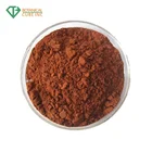 100% natural korean red ginseng root extract powder