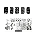 Fashionable Nail Art Stamping Plate Metal Nail Art Stamping Plate for Manicure Printing Zjoy Series 6*12cm