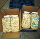 Peeled Garlic Garlic Peeled Garlic Peeled Vacuum Packed Garlic