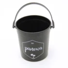 Modern Mini 1L Plastic Bucket with Handle for Splashing Water