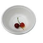 biodegradable sugarcane pulp bowl dinnerware sets