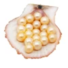 High quality 5A 6-7 mm freshwater natural pearl 21 # pink loose beads wholesale and retail DIY jewelry production