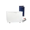 /product-detail/cxcc-commercial-solar-freezer-refrigerator-fridge-bd-208-62097120353.html