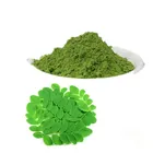 Wholesale Free Sample Moringa Leave Powder With good price