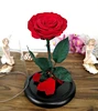 Christmas Gifts & Crafts Preserved Rose in Glass Dome on Wooden Base