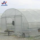 Long Time Life Plastic Film Greenhouse for Agriculture for sale