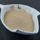 Vegetal Amino Acid Powder Amino Acid Plant Nutrients Growth Stimulants Soil Conditioner 100% Water Soluble