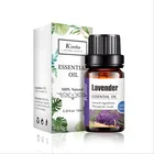 bulk 100% pure and natural lavender spa massage oil gift set 10ml water soluble essential oils