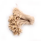 Garment Accessories Plastic Hang Tag Fastener for Apparel