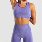 Gym New Yoga Sports Bra Shockproof Fitness Underwear Dot Printing Seamless Female Women Sports Bra Set
