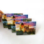 hot selling fridge paste home decoration refrigerator magnet