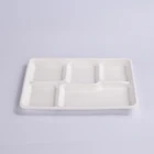 hot sale eco-friendly tray bagasse with food material