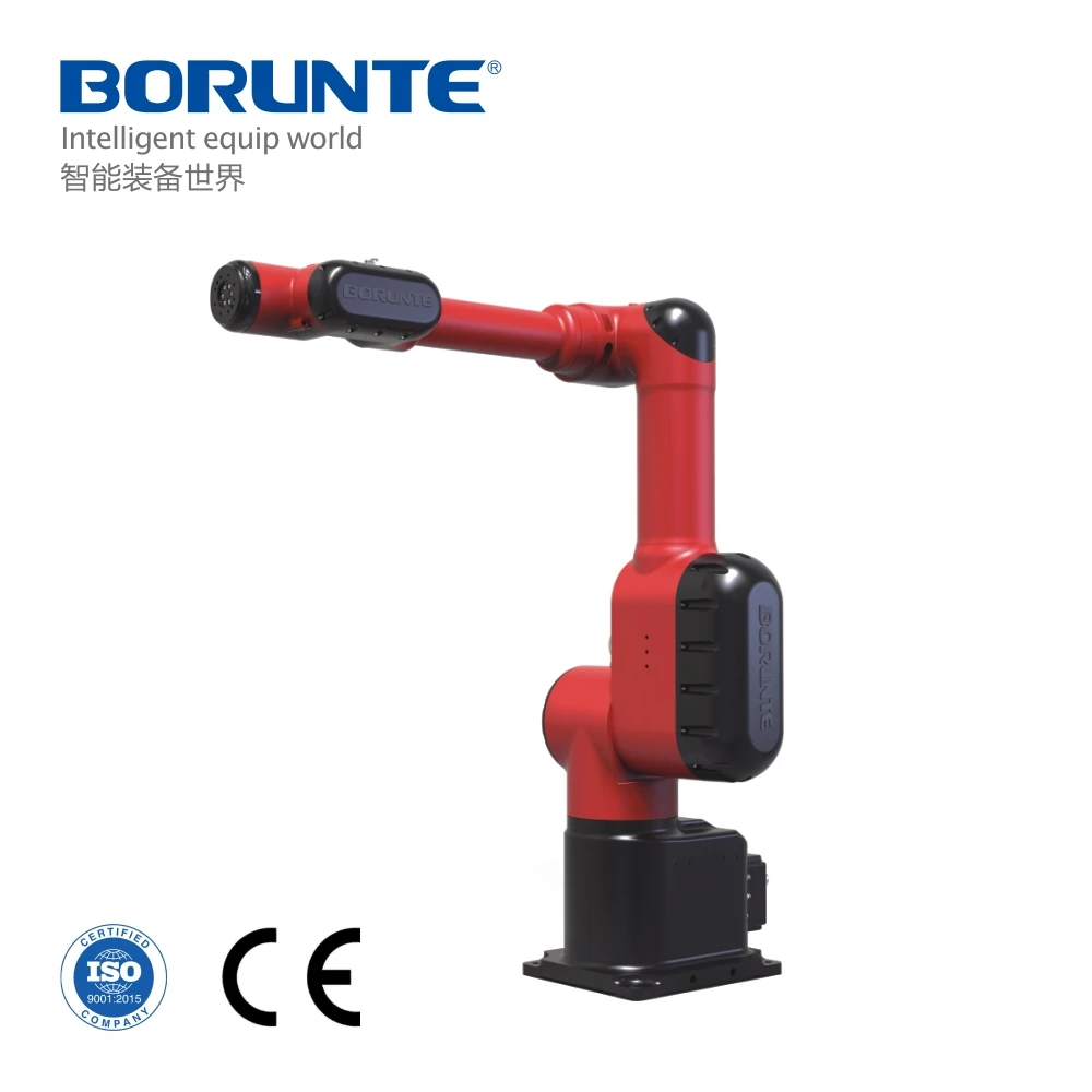 borunte robot price