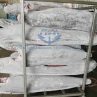 Land Frozen Black Marlin 25kg up fresh fish