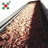 drying small shrimp processing line mahcine/sea food dehydration production line