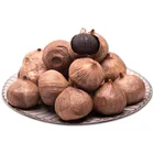Best price mini pink Japanese high quality black garlic ferment pot