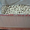 Hot Selling Frozen Chestnut Organic IQF Roasted Chestnut with Shells with lowest price