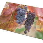 Outdoor Travel Waterproof Non Slip Food Mat For Pet