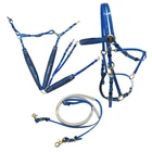 Horse Riding Equipment Endurance Bridle Full Set For Horse
