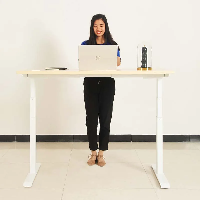 Modern Electric Standing Desk Adjustable Desk Automatic Lifting