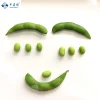 new crop frozen edamame beans with best price soy bean