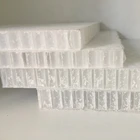 Sheet Polypropylene Honeycomb Corrugated Plastic Sheet Board Panel