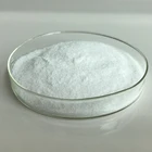 CAS 29031-19-4 Joint Pain Treatment Glucosamine Sulfate