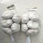 New Crop Chinese Fresh White Garlic