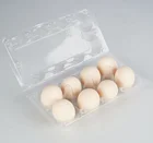wholesale blister egg tray clear plastic PET 8 pack holes egg tray
