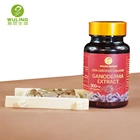 Best Red Reishi Mushroom Extract Capsule