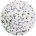 Polycrystalline Diamond/diamond Lapping Abrasive Powder
