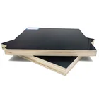 high quality shuttering formwork plywood for construction
