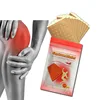 /product-detail/high-quality-eliminate-swelling-and-pain-arthritis-capsicum-plaster-pain-relief-heat-patch-62092255840.html